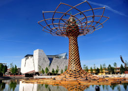 Albero della Vita - Rho (MI)